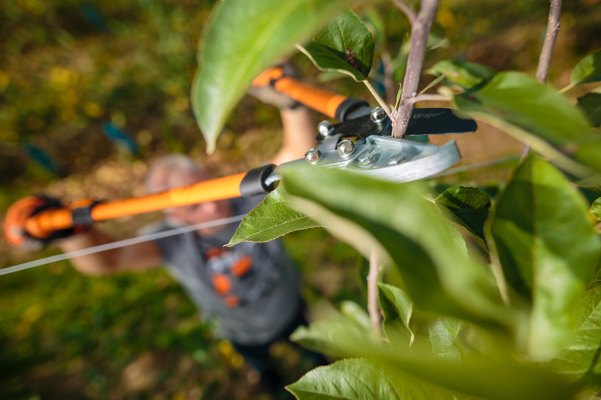 LS 109 Teleskop-Astschere – Schneidet starke Äste bis 30 mm mühelos - VI-8013