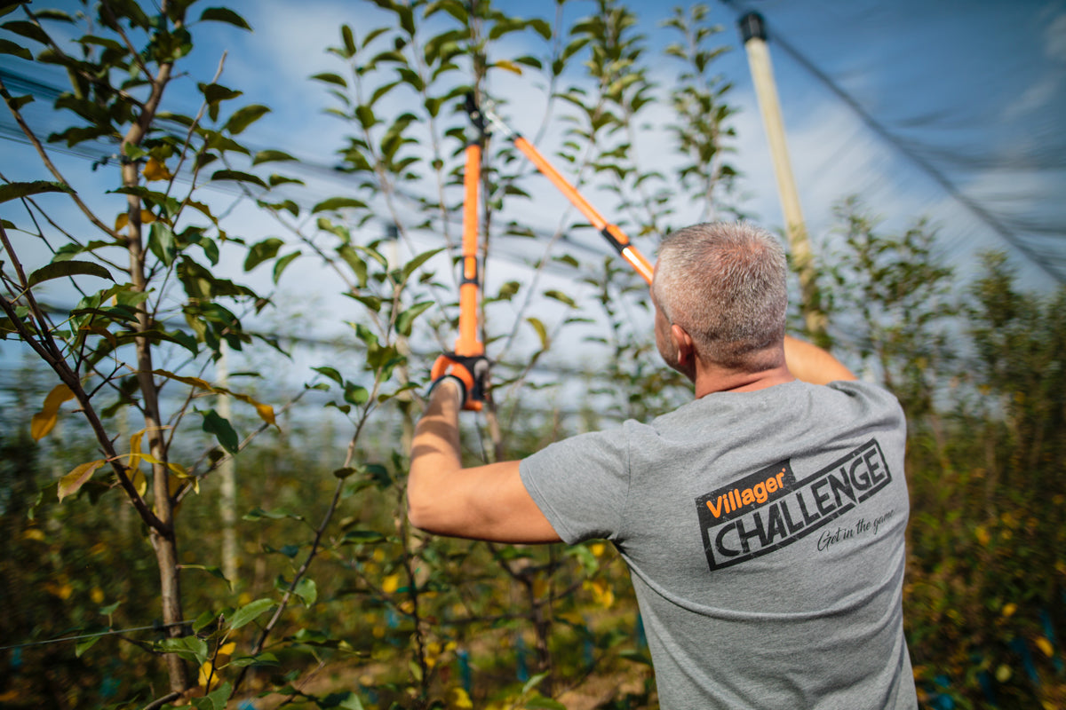 LS 109 Teleskop-Astschere – Schneidet starke Äste bis 30 mm mühelos - VI-8013