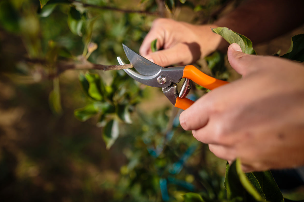 PS 101 Gartenschere – 200 mm Baumschere für präzise Schnitte bis Ø 12 mm - VI-11296