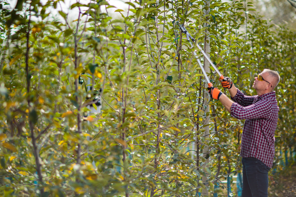 LS 128 Astschere – 82 cm lang, schneidet mühelos Äste bis Ø 30 mm - VI-55319