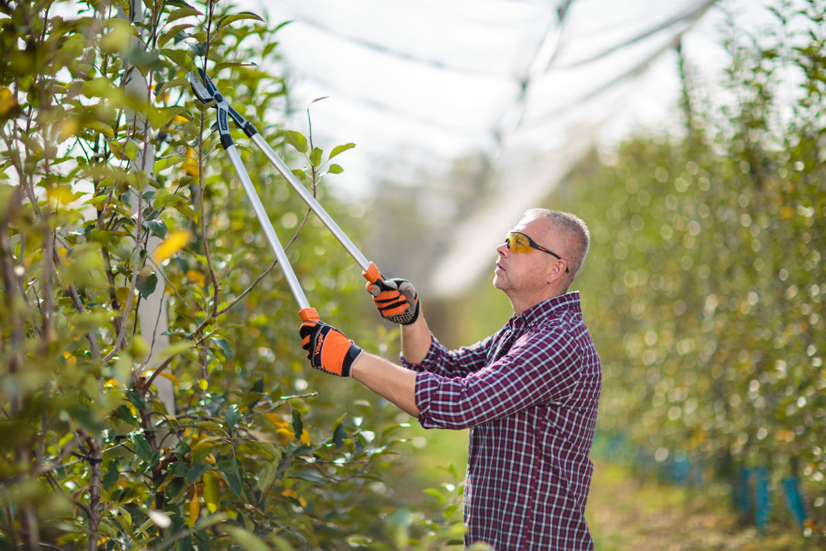 LS 128 Astschere – 82 cm lang, schneidet mühelos Äste bis Ø 30 mm - VI-55319