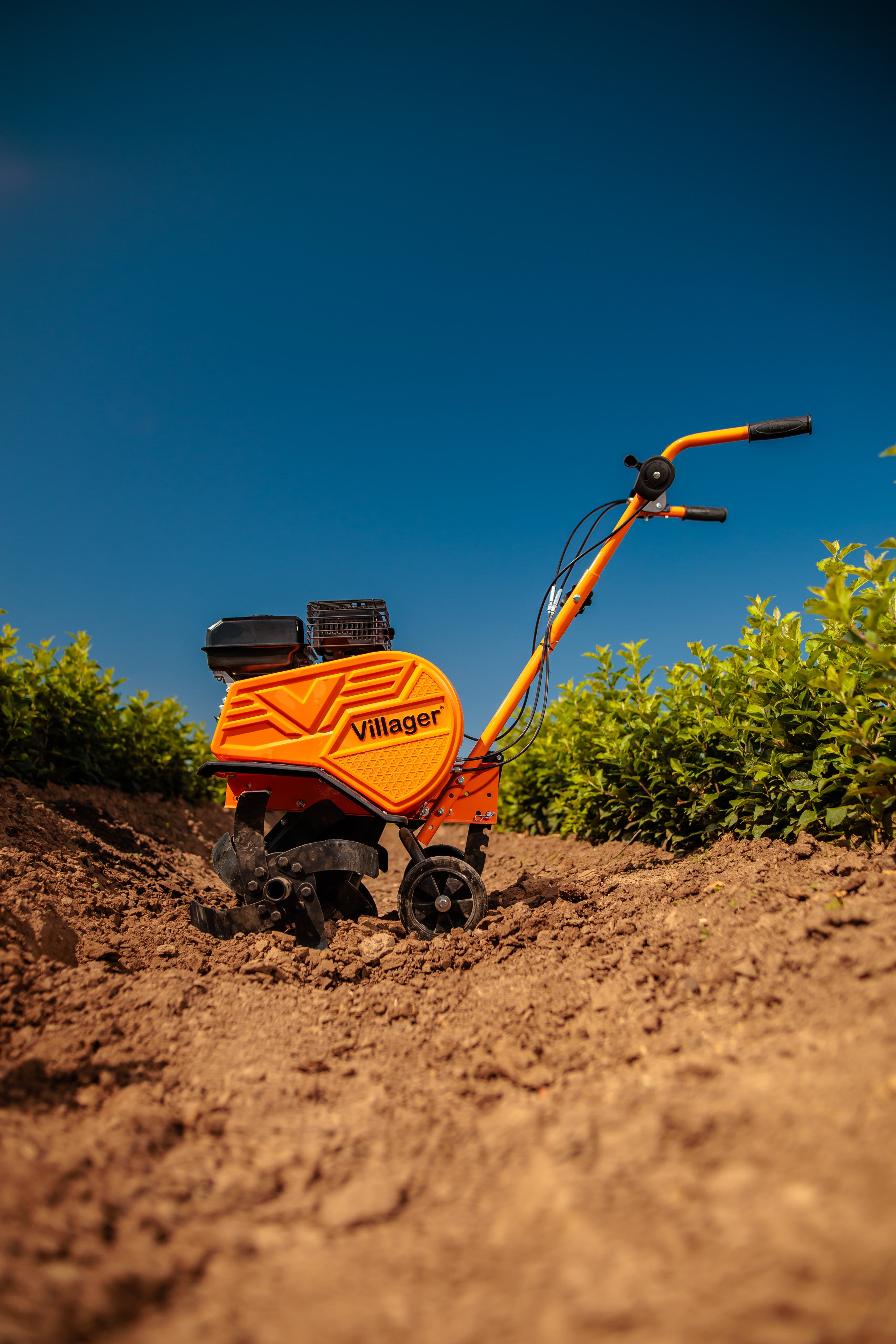 VTB 8511 V Motorhacke – 212 cm³, 850 mm Arbeitsbreite, Riemen-/Kettenantrieb – VI-060279