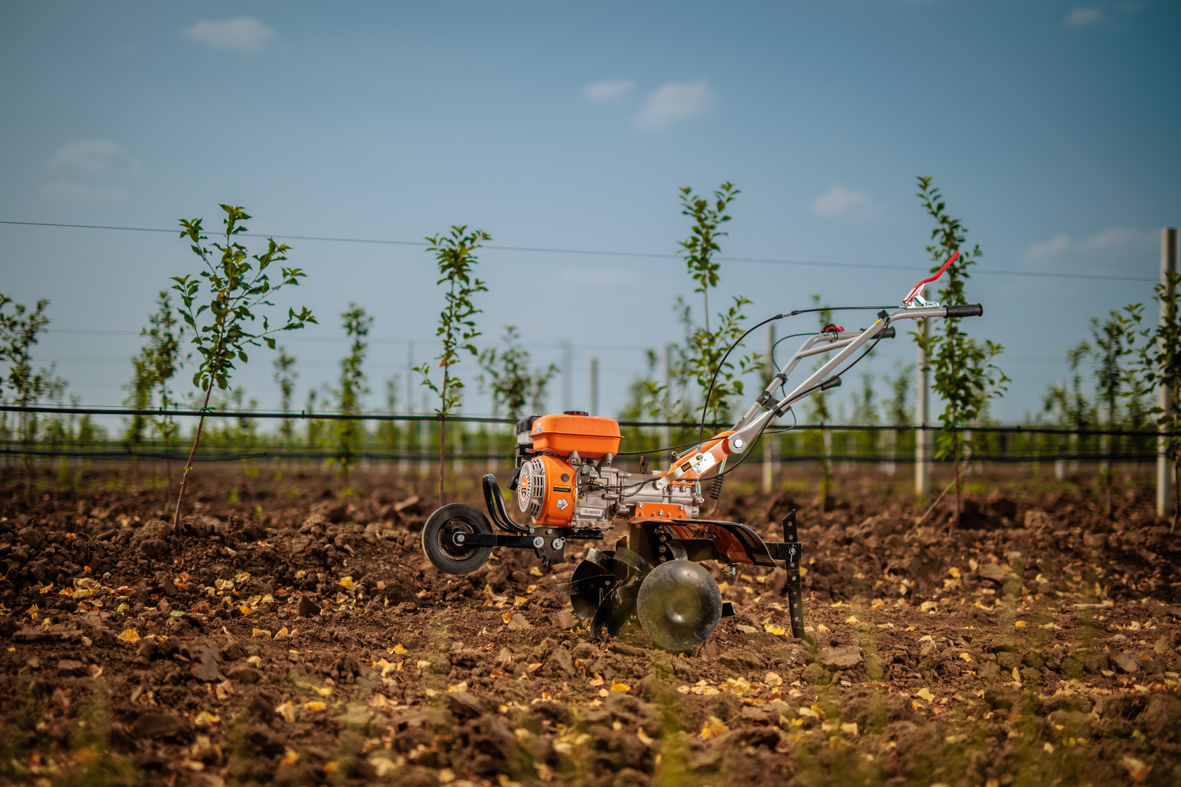 Prime VTB 8421 Benzin-Motorhacke – 212 cm³, 85 cm Arbeitsbreite, Direktantrieb – VI-086195