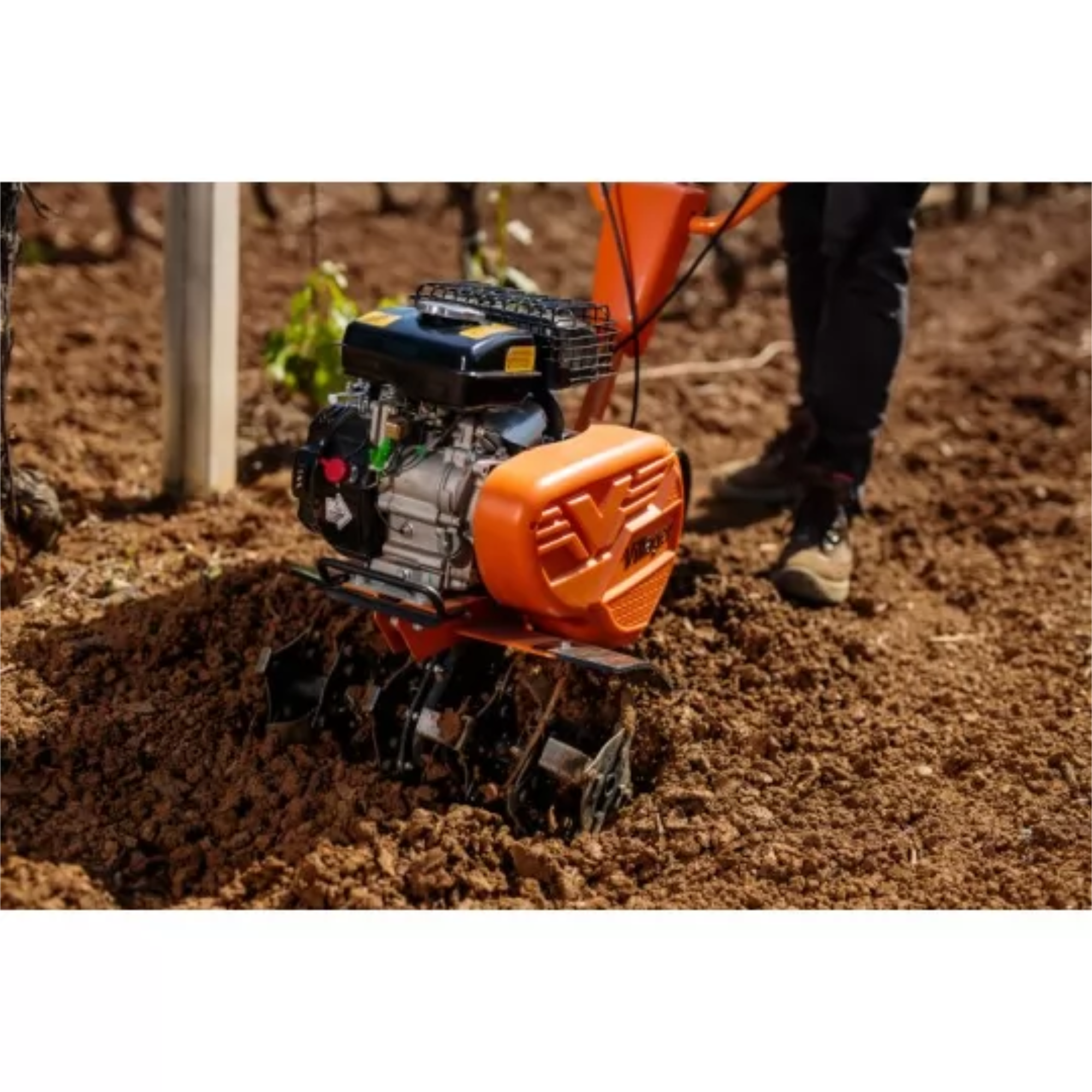 VTB 8511 V Motorhacke – 212 cm³, 850 mm Arbeitsbreite, Riemen-/Kettenantrieb – VI-060279