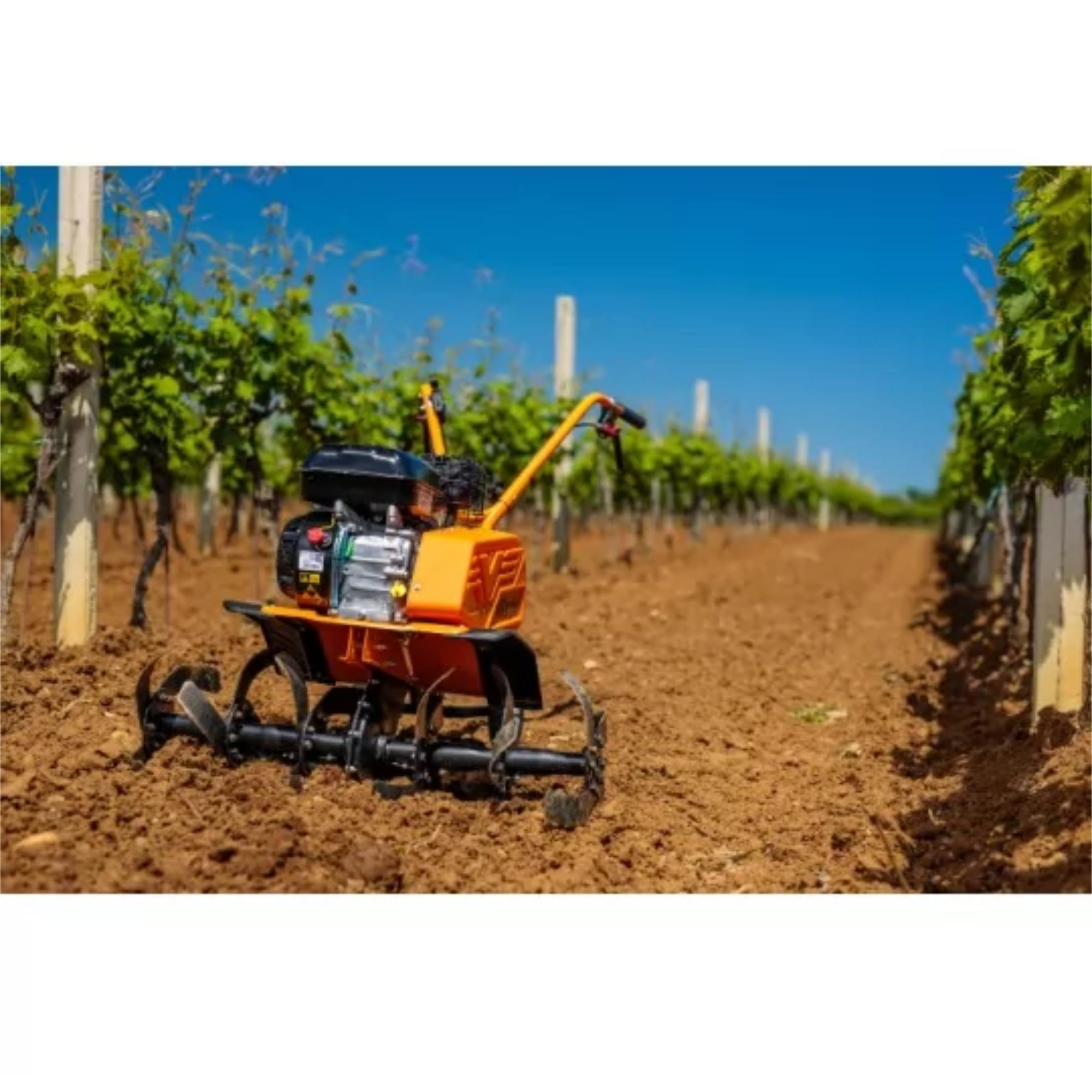 VTB 8511 V Motorhacke – 212 cm³, 850 mm Arbeitsbreite, Riemen-/Kettenantrieb – VI-060279