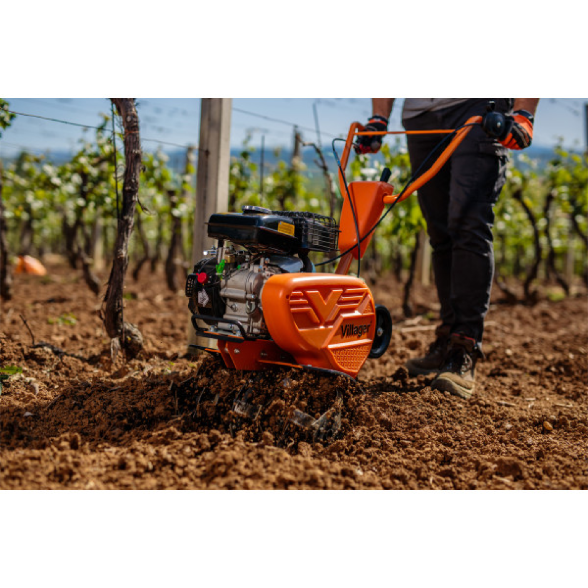 VTB 4310 V Benzin-Gartenfräse – 79 cm³, 1,6 kW, 43 cm Arbeitsbreite – VI-060280