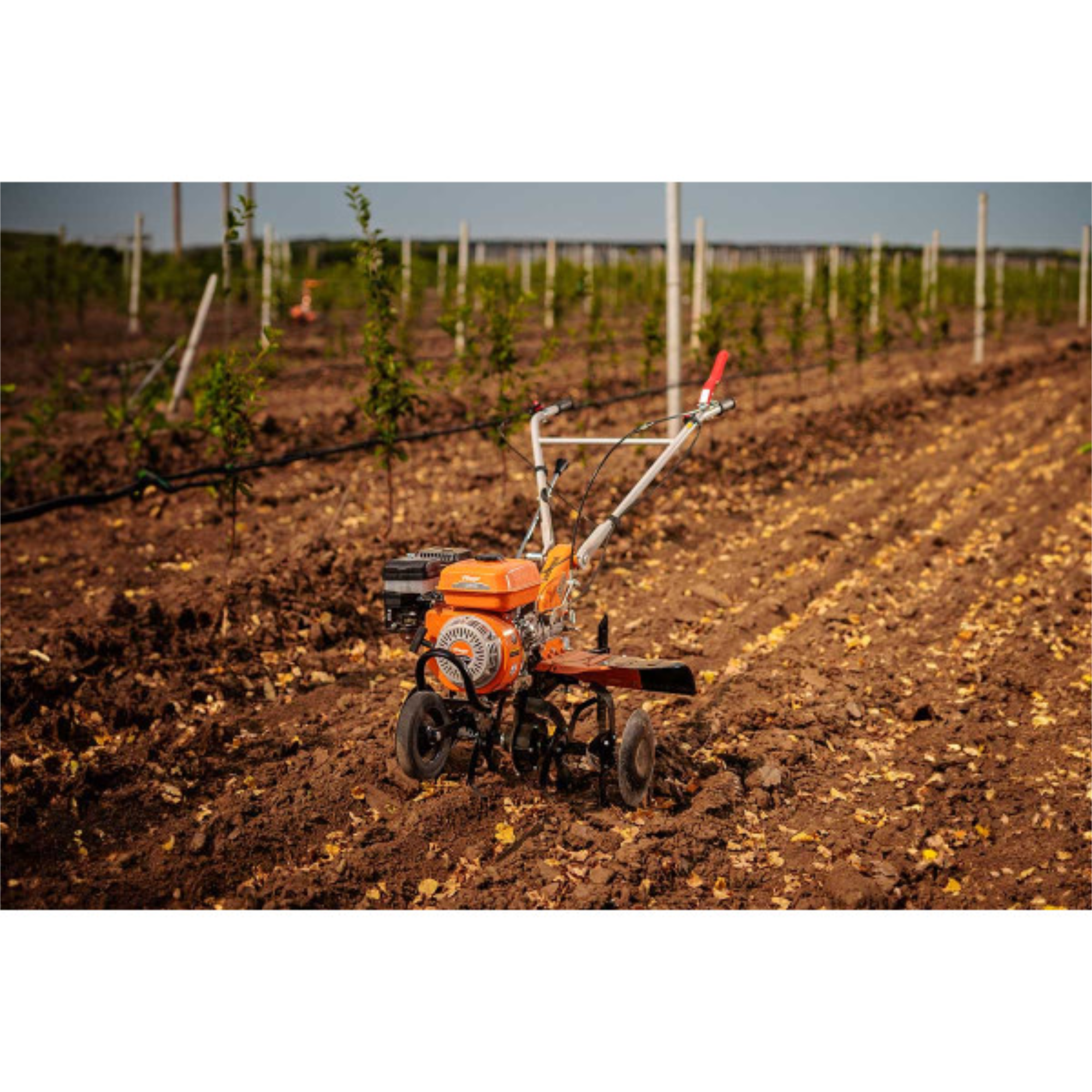 Benzin-Motorhacke – 212 cm³, 85 cm Arbeitsbreite, Direktantrieb – VI-086195