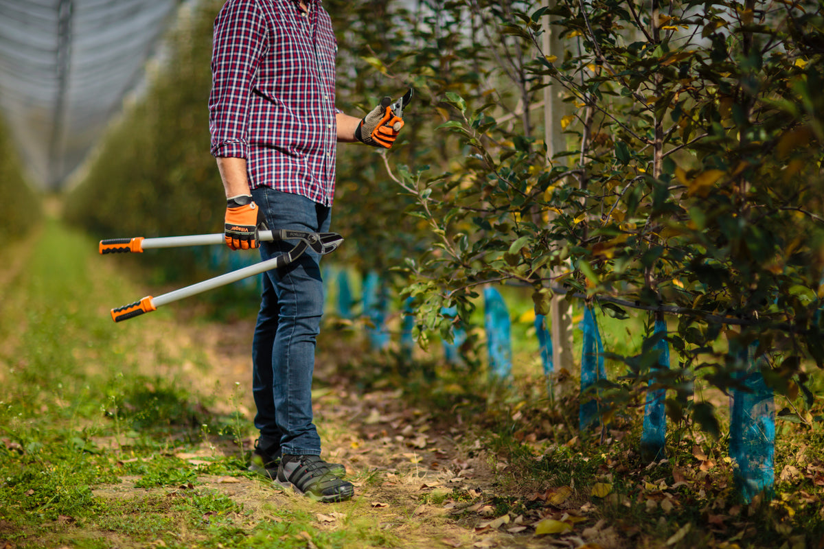 LS 127 Profi-Astschere – bis Ø 45 mm Schneidleistung, Cr-V Stahlklinge, 820 mm Länge, Aluminiumgriffe - VI-50900