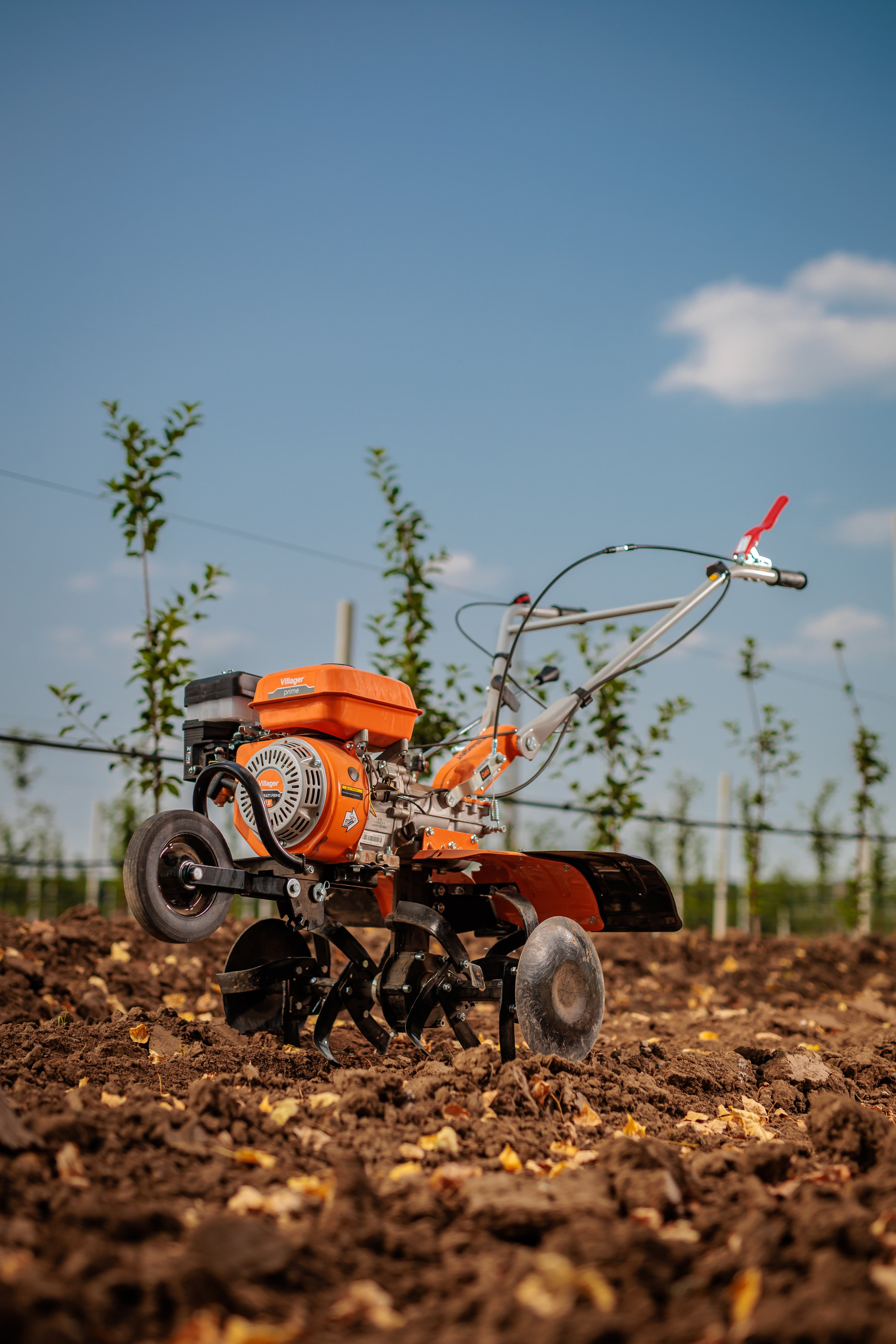 Prime VTB 8421 Benzin-Motorhacke – 212 cm³, 85 cm Arbeitsbreite, Direktantrieb – VI-086195
