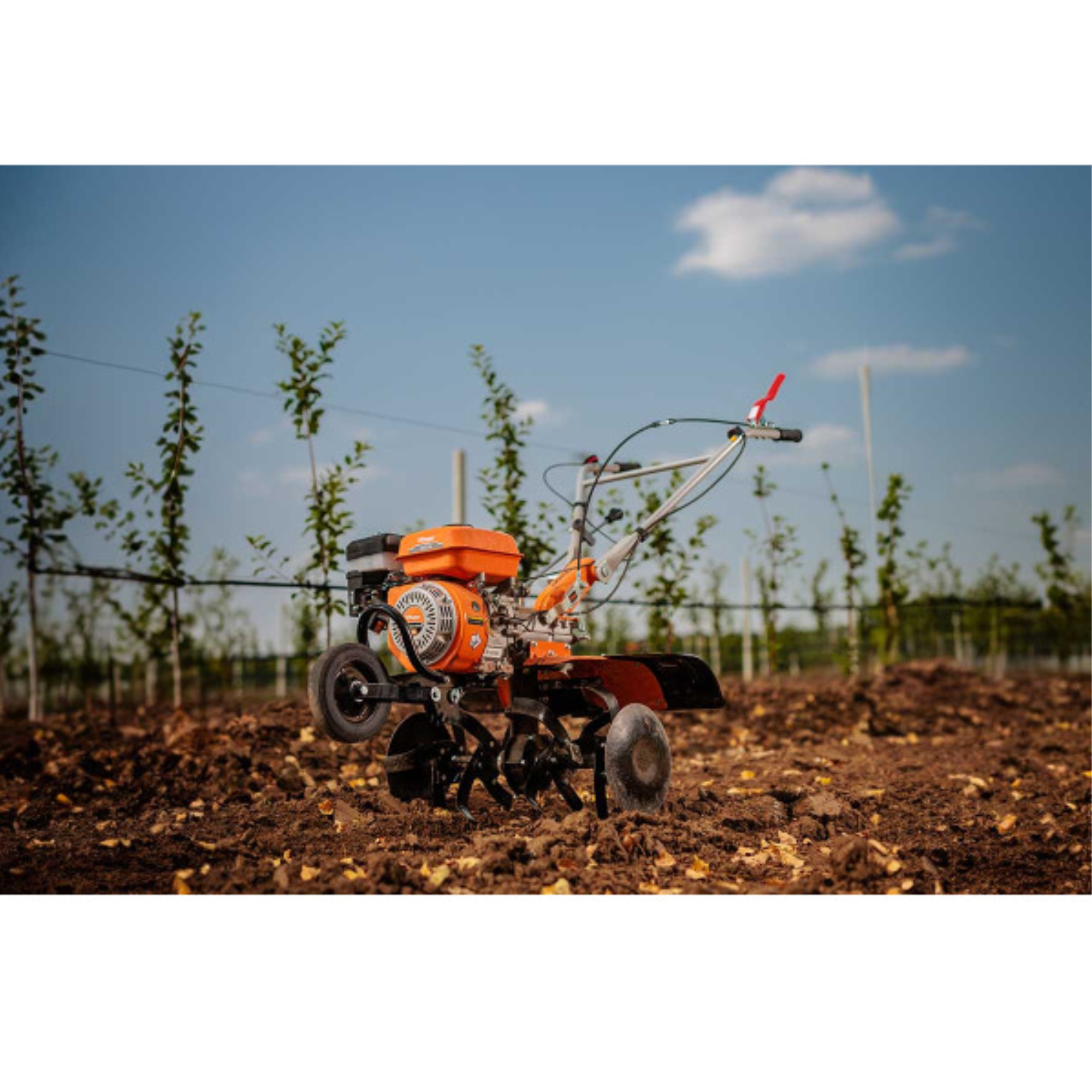 Benzin-Motorhacke – 212 cm³, 85 cm Arbeitsbreite, Direktantrieb – VI-086195