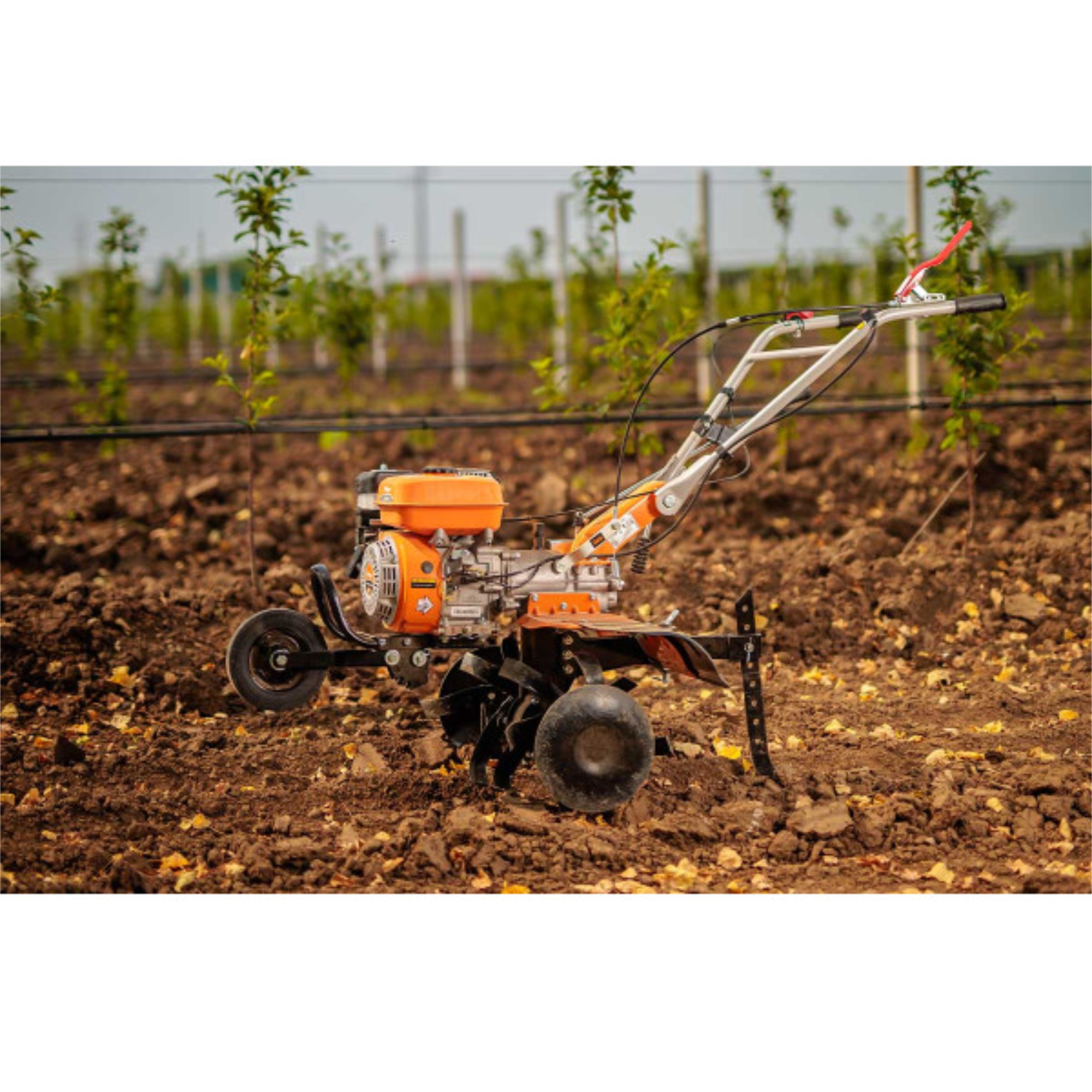 Benzin-Motorhacke – 212 cm³, 85 cm Arbeitsbreite, Direktantrieb – VI-086195