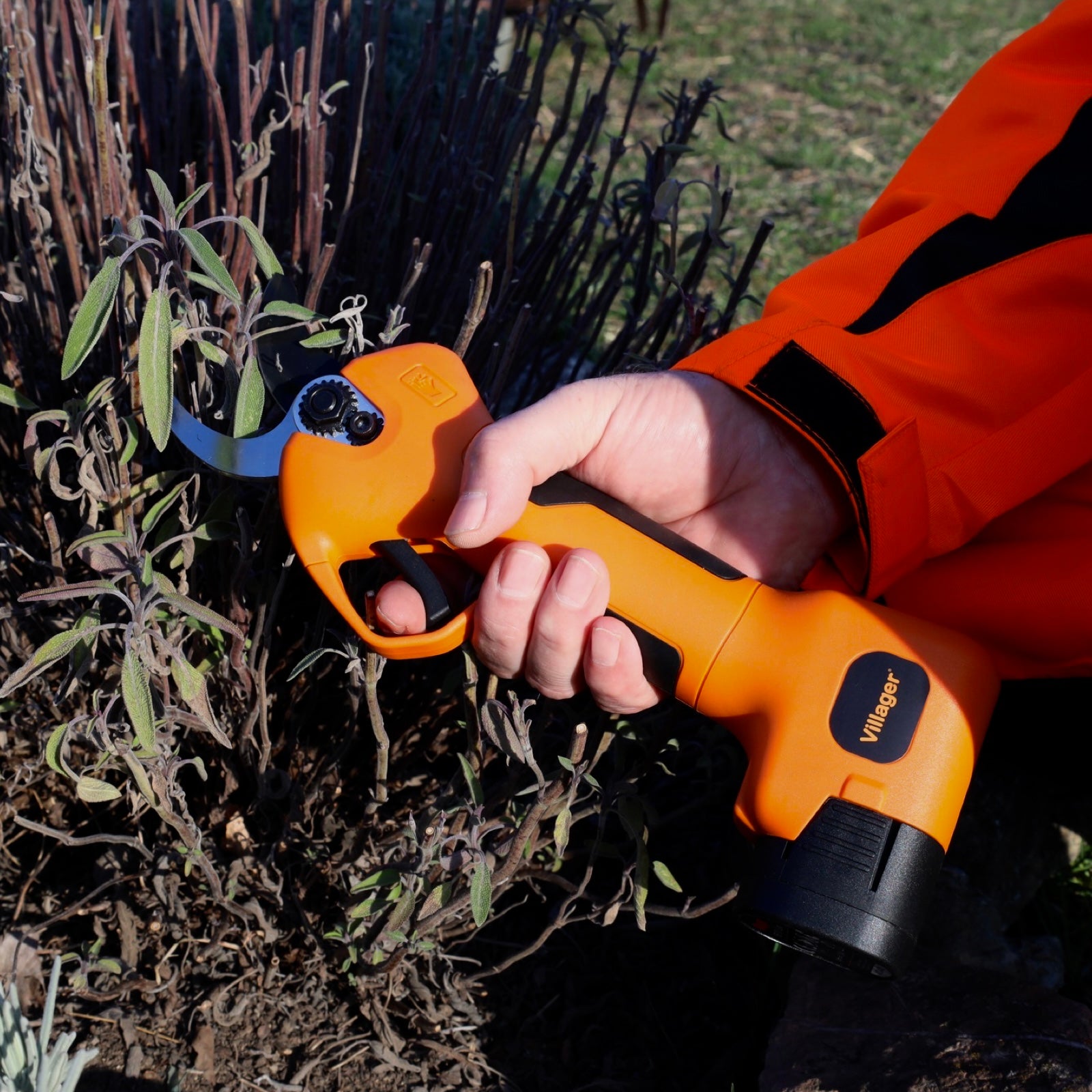 Villager VBP 30 – Akku-Gartenschere mit 2 Akkus im Koffer für präzisen Gehölzschnitt - VI-086583